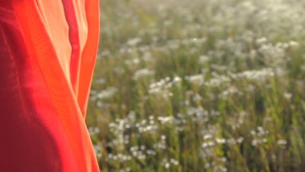 Donna con una macchina fotografica sulla spalla che cammina lungo un campo al rallentatore — Video Stock