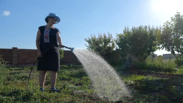 Donna divertente in panama annaffiare il suo giardino da un ugello doccia in slo-mo — Video Stock