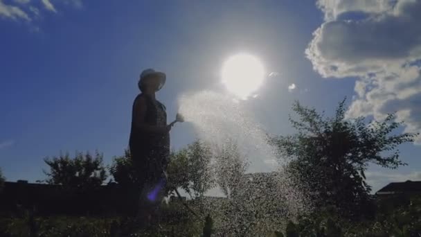 Slender middle-aged woman in panama watering her garden at sunset in slo-mo — Stock Video