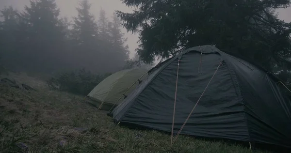 To sfæriske telt under et gran i Karpatene – stockfoto