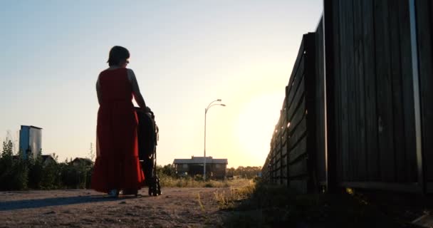 Mulher romântica em um vestido vermelho montando seu filho em um carrinho ao pôr do sol em slo-mo — Vídeo de Stock