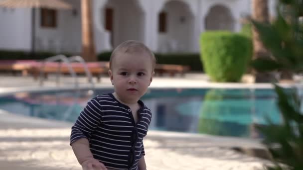 Loira gata caminha ao longo da piscina e olha para um arbusto exótico em câmera lenta — Vídeo de Stock