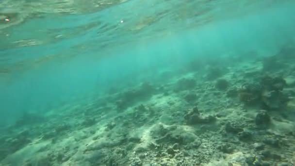 4k-물의 표면에 태양의 눈부심. — 비디오