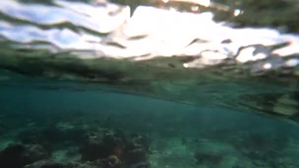 4k - красивий підводний знімок з сонячними променями на поверхні води . — стокове відео