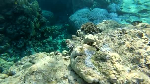 4k - schöne Unterwasseraufnahmen mit Sonnenstrahlen auf der Wasseroberfläche. — Stockvideo
