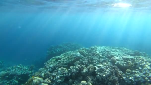 4k - belo tiro subaquático com raios de sol de luz solar na superfície da água . — Vídeo de Stock
