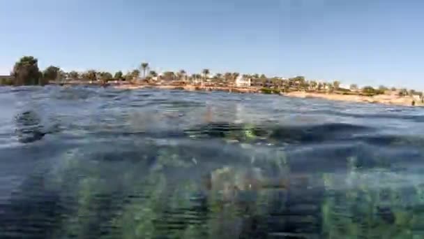 4k pomalý pohyb Rudého moře s nádherným korálovým útesem pod vodou. — Stock video