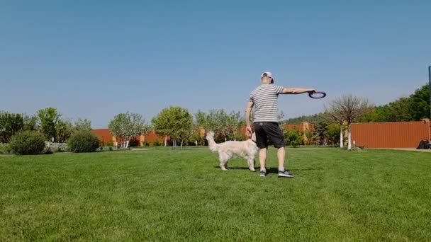 Молодий чоловік грає зі своїм білим собакою на садовому газоні влітку в шлю-мо — стокове відео