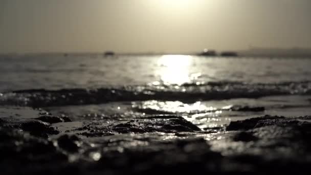 Τα κύματα πλύνετε την ακτή και στο φόντο ιστιοπλοϊκό στο ηλιοβασίλεμα. — Αρχείο Βίντεο
