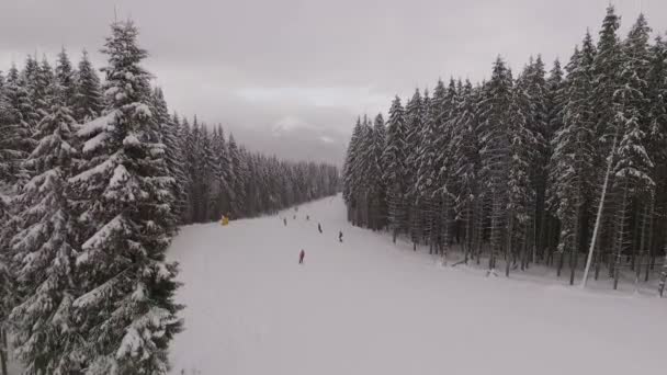 Aerea di snowboarder e sciatori che scivolano lungo due pareti di pino a Bukovel — Video Stock