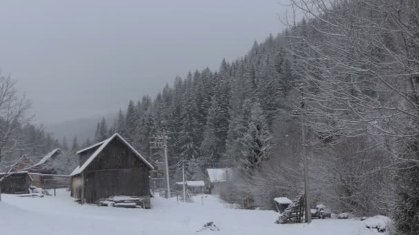 Fallande snö flingor i pittoreska byn i Karpaterna på vintern — Stockvideo