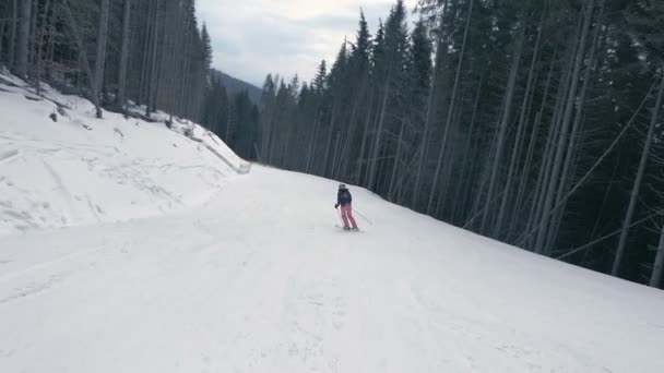 Wesoły Kobieta w różowe spodnie, jazda na nartach w dół w Karpatach w okresie zimowym w slo-mo — Wideo stockowe