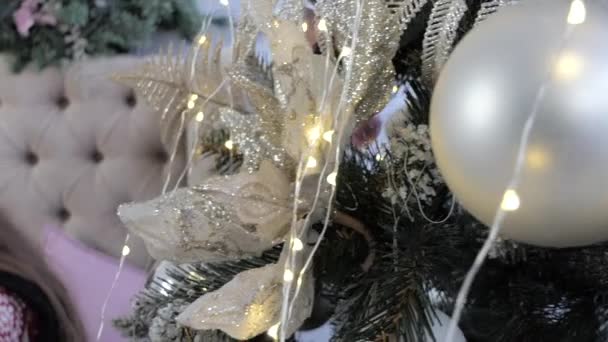 Tolles Foto von Weihnachtsbaum und Mutter mit Neugeborenem auf den Händen. — Stockvideo