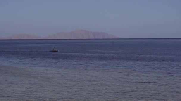 海の上でゆっくり航海するモーターボート. — ストック動画