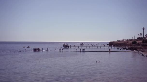 4k-度假者去游泳通过一座大桥和潘顿. — 图库视频影像