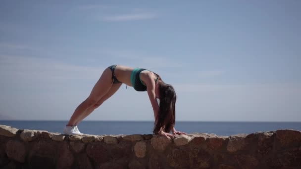 Mujer joven hace yoga pose perro boca arriba y boca abajo . — Vídeos de Stock