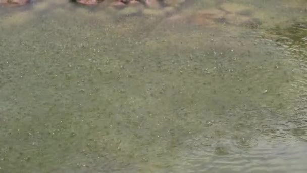 Капли из фонтана падают на поверхность воды в замедленной съемке . — стоковое видео