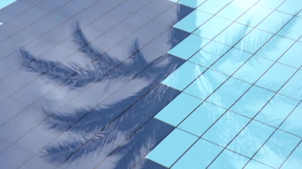 Zeitlupenreflexion der dritten Palme auf der Wasseroberfläche im Pool — Stockvideo