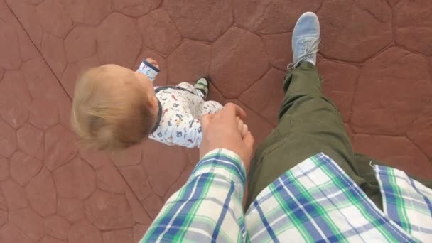 Papá y el bebé van tomados de la mano en un camino de piedra, vista desde arriba en cámara lenta — Vídeos de Stock