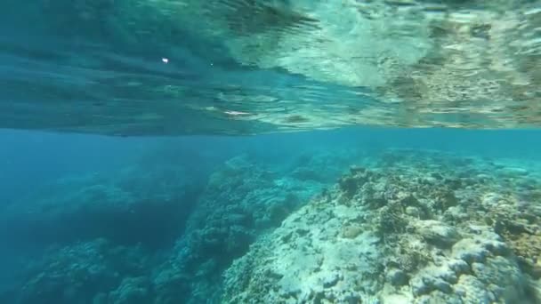 A vista acima da água na praia e no recife de coral debaixo d 'água — Vídeo de Stock