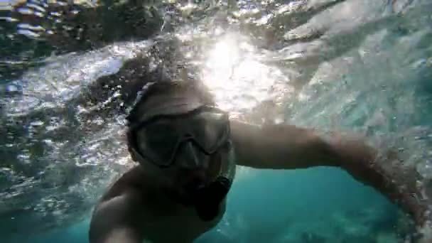 Jonge man zwemmen, Snorkelen in de rode zee, Slow Motion — Stockvideo