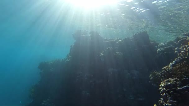 Récif corallien incroyable sous l'eau dans les rayons du soleil au ralenti . — Video