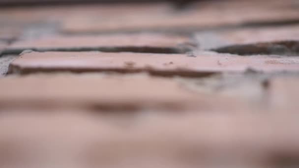 Red brick texture closeup in slow motion. — Stock Video