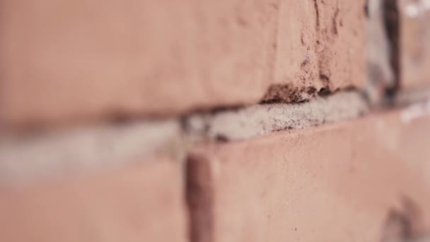 Red brick texture closeup in slow motion. — Stock Video