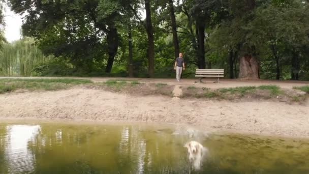 Mann wirft rundes Spielzeug in Fluss und ein Hund rennt, um es im Wasser zu fangen — Stockvideo