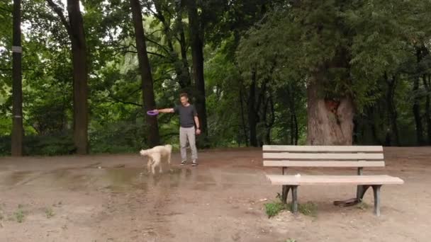 夏天的时候，年轻人和一只带着圆形玩具的友善的狗玩耍 — 图库视频影像