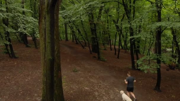 Fiatal férfi rövidnadrágban fut egy kutyával egy lombos erdőben nyáron — Stock videók