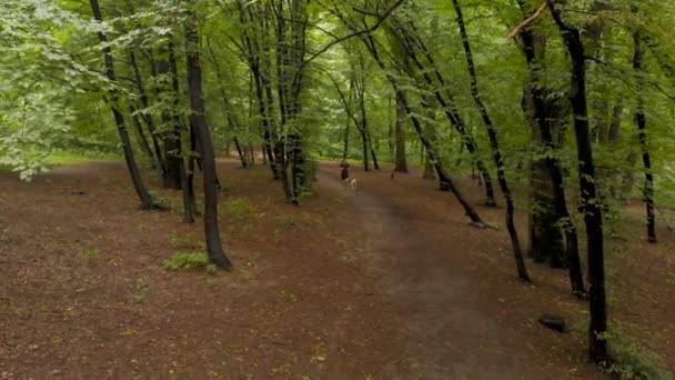 Homem esportivo e um cão correndo em uma floresta frondosa no verão em 4k — Vídeo de Stock