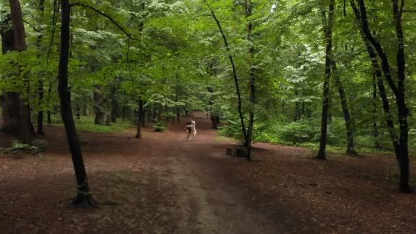 Homme joyeux sautant avec son chien blanc dans une forêt feuillue en été — Video
