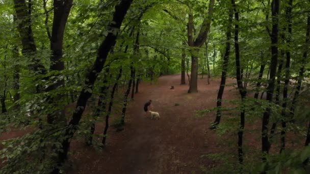 Спортивный человек делает наклонные вперед упражнения с собакой в лесу — стоковое видео