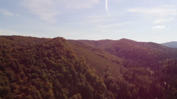 Aerial Shot av Karpaterna med höga toppar täckta med Spruces vid solnedgången — Stockvideo