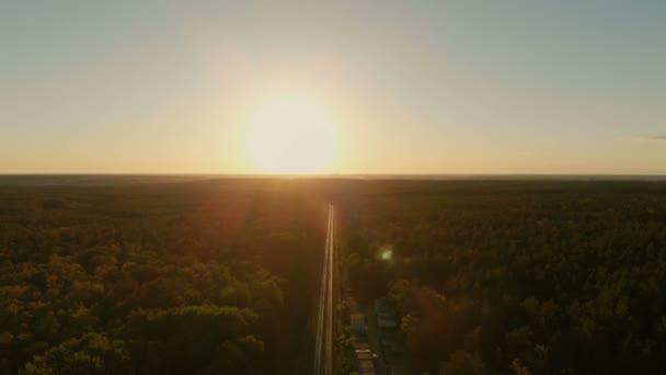 Luftaufnahme von grenzenlosem Kiefernwald mit gerader Eisenbahn bei herrlichem Sonnenuntergang — Stockvideo