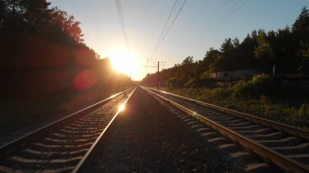 Bela ferrovia que se estende através de uma floresta ao pôr do sol em 4k — Vídeo de Stock