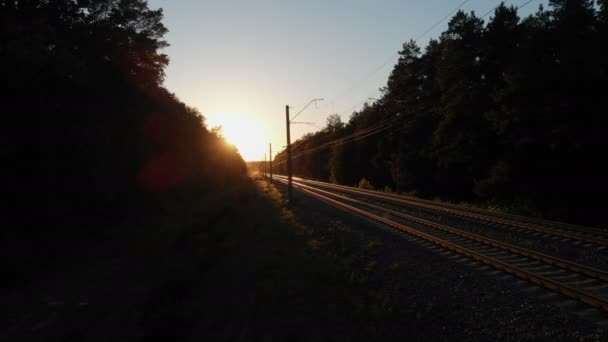 Довга залізниця проходить через сосновий ліс на приємному заході сонця в 4k — стокове відео