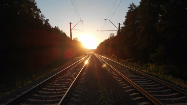 Ferrocarril largo moviéndose a través de un bosque de abeto al atardecer — Vídeo de stock