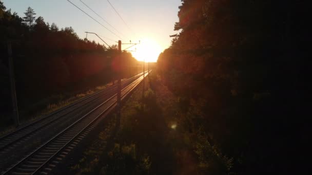 Chemin de fer horizontal fonctionnant à travers le bois épais au coucher du soleil en Ukraine dans 4k — Video