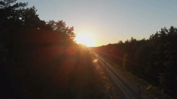 Grenzenlose Eisenbahnfahrt durch dichten Wald bei Sonnenuntergang in der Ukraine — Stockvideo