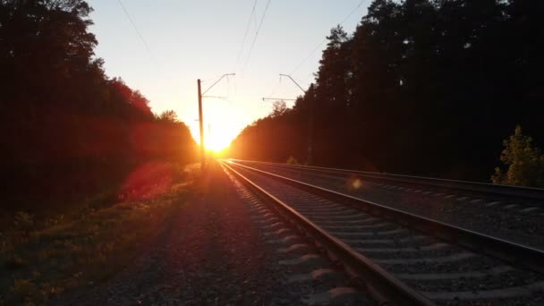 Estrada de ferro espumante indo thru madeira densa ao pôr do sol na Ucrânia — Vídeo de Stock
