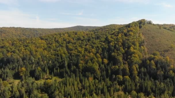 Antenn av otroliga karpatiska berg med Gran trä på en solig dag — Stockvideo