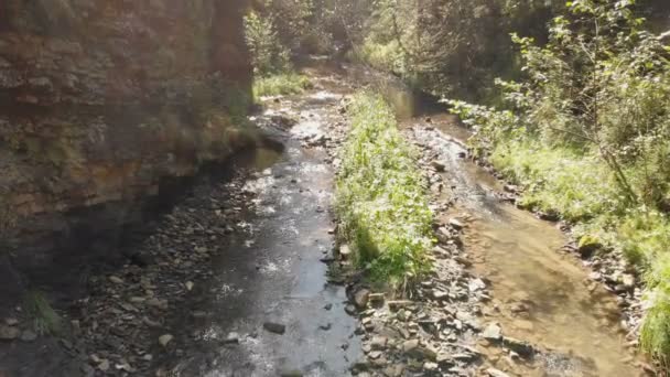 Mountaneous riverlet met schoon water en smoth stenen op een zonnige dag in de zomer — Stockvideo