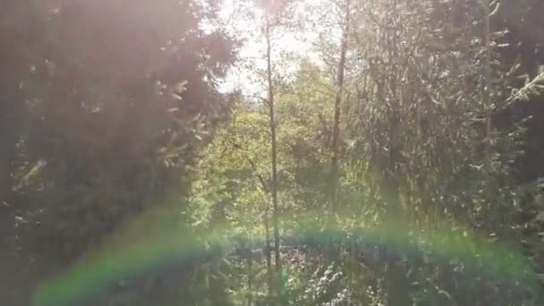 Aérien d'un drone montant dans les Carpates avec un effet arc-en-ciel en été — Video