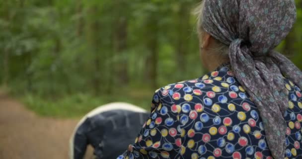 Nonna passeggia con una carrozzina all'aperto in un bosco al rallentatore — Video Stock