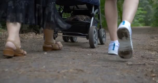 Τροχοί ενός μπάγκυ, νέοι και ηλικιωμένοι πόδια της γυναίκας μετά τους στην forestin slo-mo — Αρχείο Βίντεο