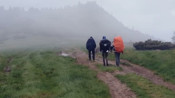 นักปีนเขาสามคนไปตามถนนชนบทใน Carpathians ใน slo-mo — วีดีโอสต็อก
