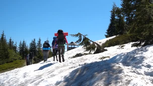 Turistas con mochilas que van a una alcoba de montaña en los Cárpatos en slo-mo — Vídeos de Stock