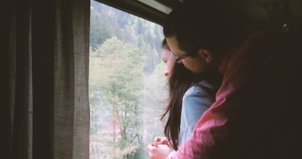 Молодий чоловік обіймає свою веселу дружину і дивиться з вікна поїзда в шлю-мо — стокове відео
